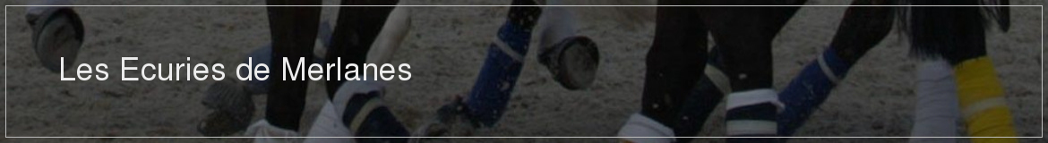 Les Ecuries de Merlanes